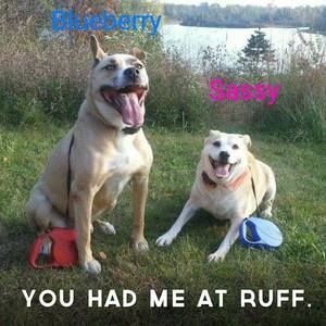 Meet your Posher, Kristie